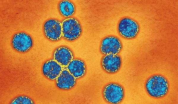 El nuevo coronavirus es más peligroso que el SARS
